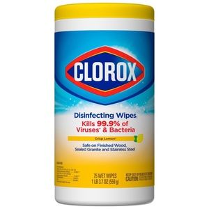 Clorox Disinfecting Wipes 75 Count FAST SHIP!!